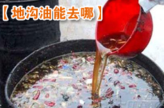 地溝油引熱議 每年350萬(wàn)噸回流餐桌
