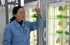 微藻示范基地工作人員現(xiàn)場(chǎng)操作