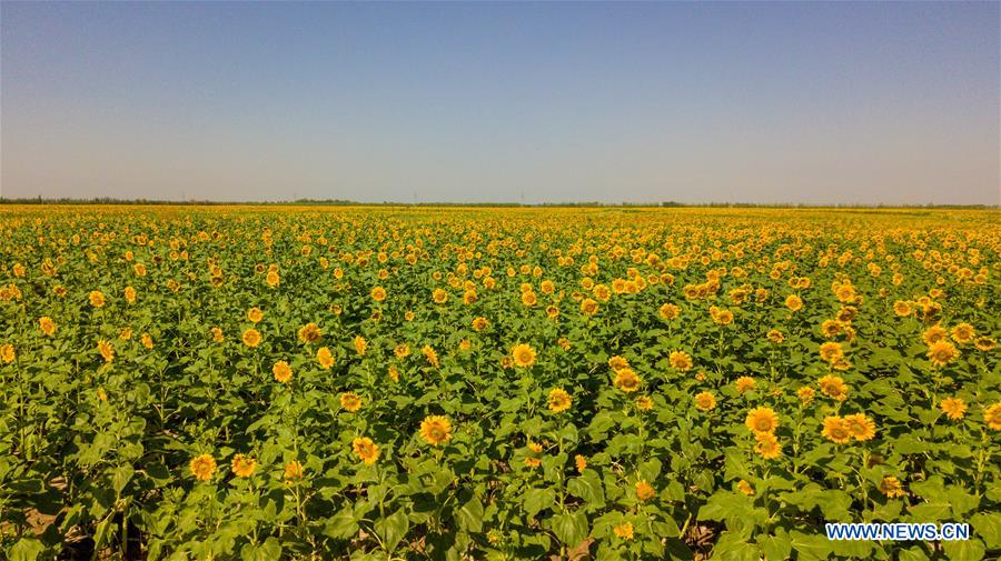 CHINA-INNER MONGOLIA-BAYANNUR-TOURISM (CN)