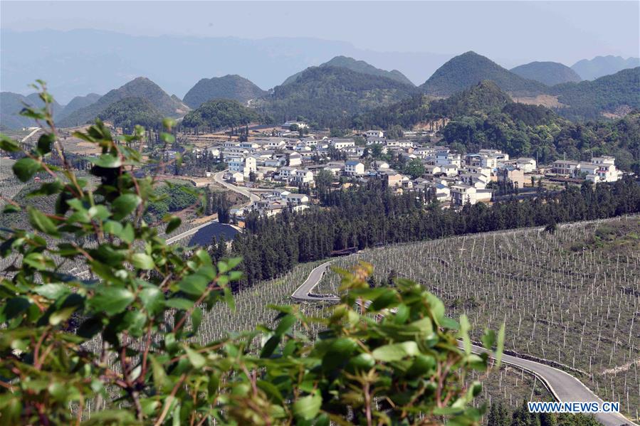 CHINA-YUNNAN-XICHOU COUNTY-POVERTY ALLEVIATION (CN)