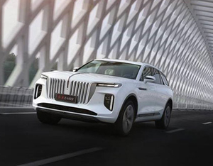 各美其美，美美與共——2020中國企業家博鰲論壇品牌品鑒交流會側記