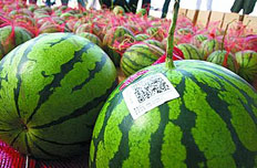 安徽建立農產品生產記錄確保“可追溯”