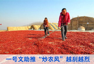 “一號文”倒計時 “炒農風”進行式