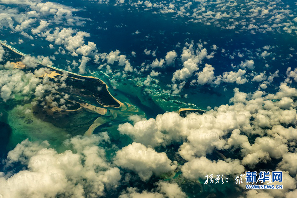 飛躍太平洋，跨越秋與春