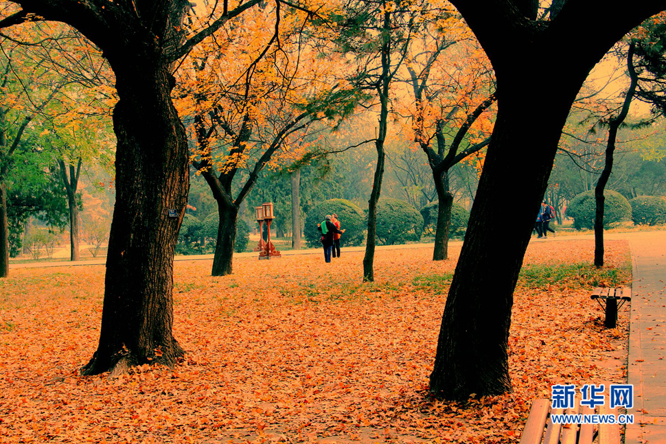 北京天壇公園風景