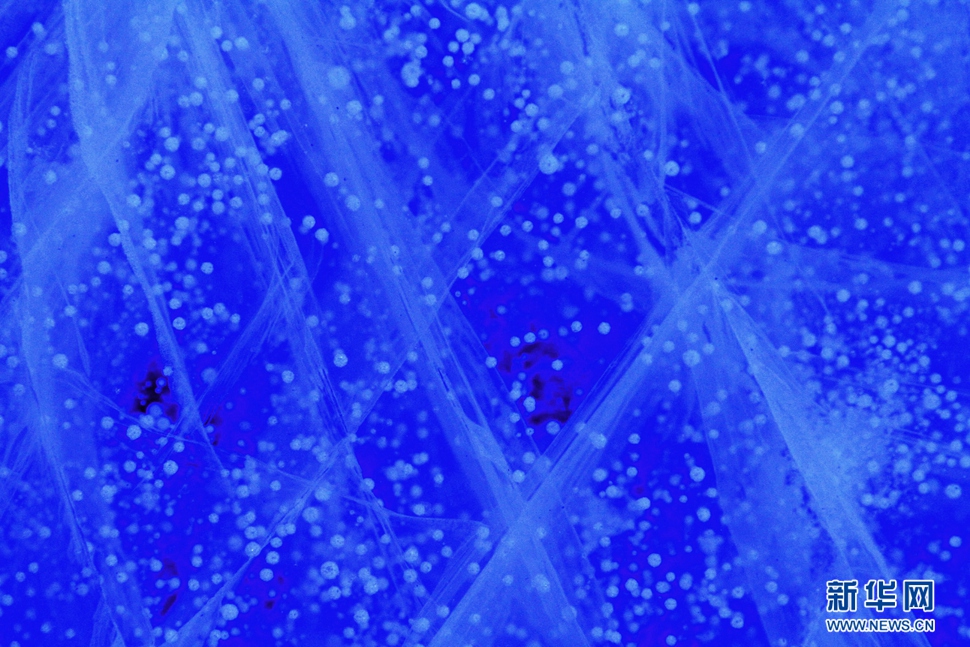 氣泡冰亮晶晶，藍精靈賽繁星