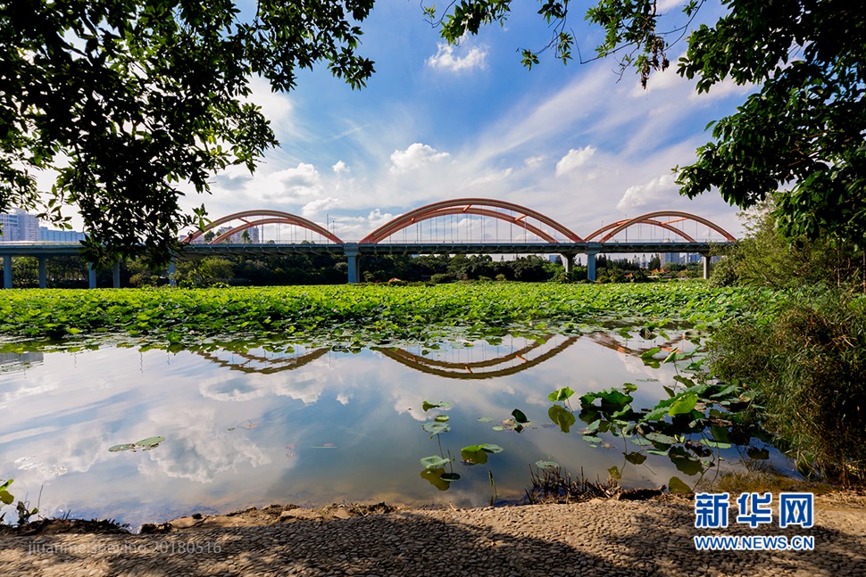 深圳百年羅湖橋