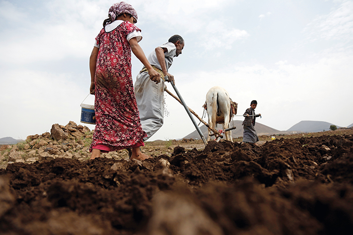 堅(jiān)守中的希望：戰(zhàn)亂中也門人的日常