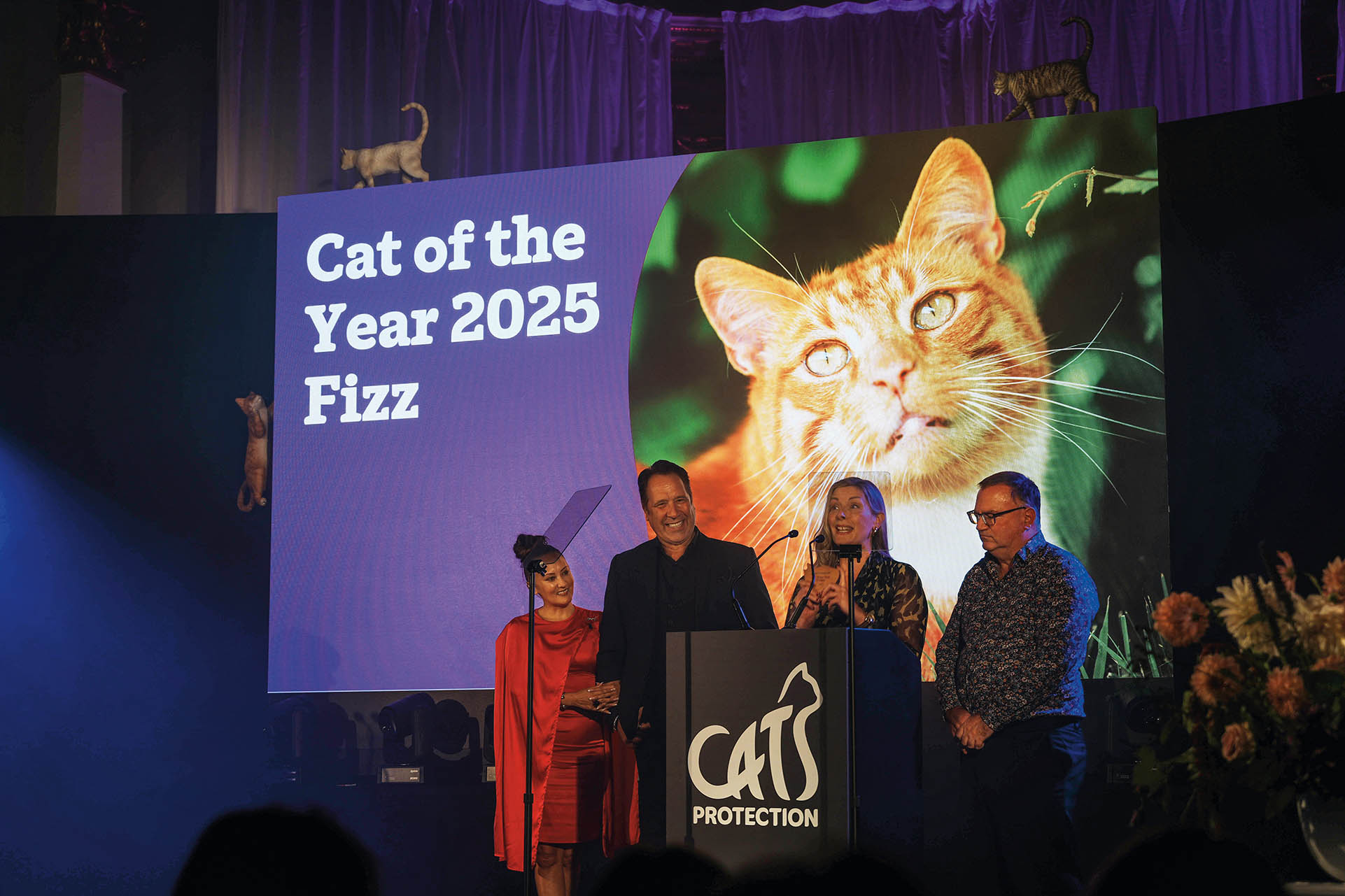 英國(guó)百年組織見(jiàn)證人與貓的故事