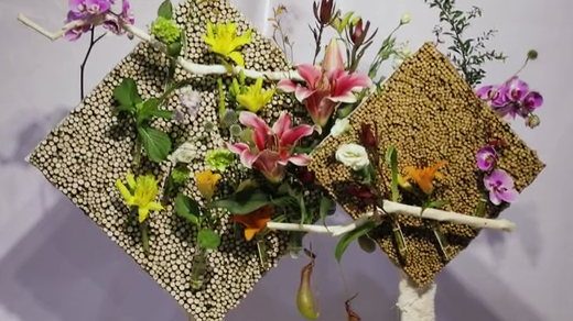 如此動(dòng)人，和百合來場約會(huì)吧！