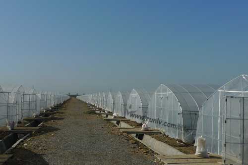 戴德梁行程家龍:樓市進(jìn)入 翡翠時(shí)代