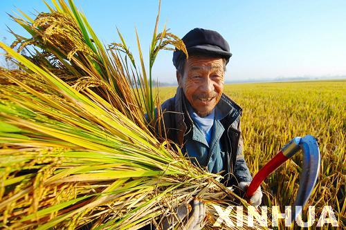 農村電子商務發展的戰略與政策