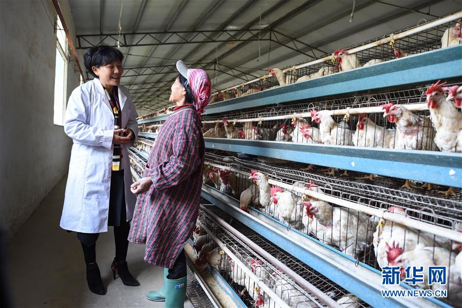 (十九大代表回基層·圖文互動)(1)擺脫貧困后,還應(yīng)有更高的精神追求——十九大代表余留芬的“宣講時光”