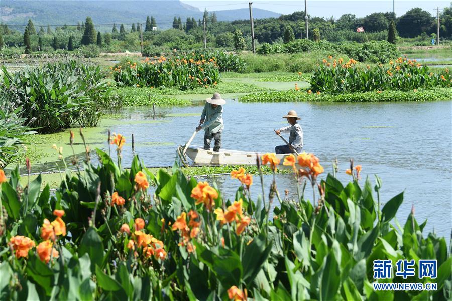 （新華全媒頭條·聚焦鄉村振興戰略規劃·圖文互動）（14）推進鄉村振興的行動指南——解讀鄉村振興戰略首個五年規劃亮點