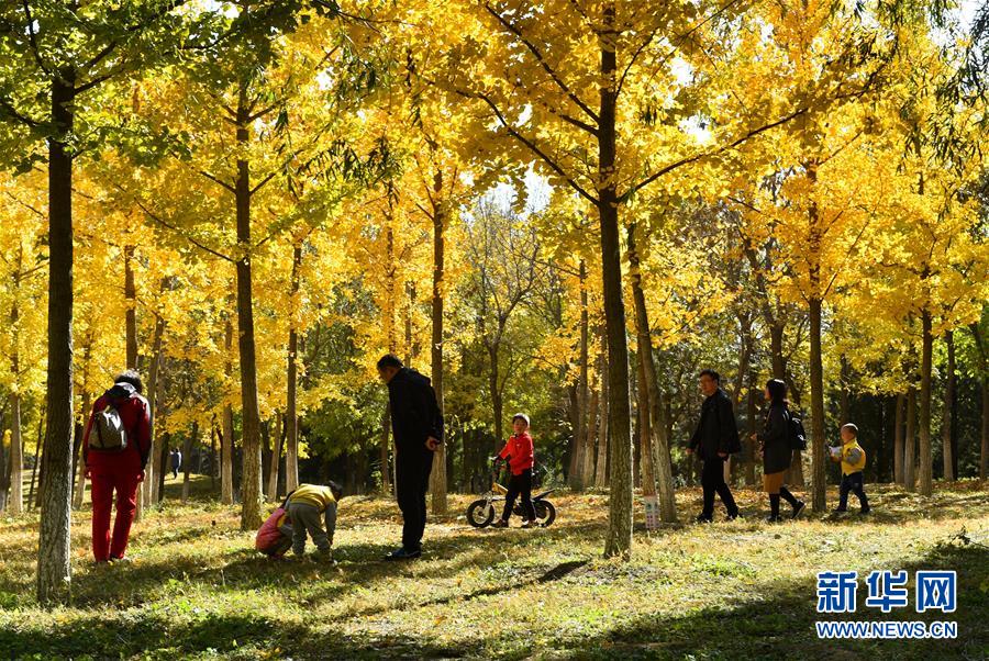 (百城百縣百企調研行·圖文互動)(2)生態 文明 宜居——北京城市副中心未來之城正在崛起