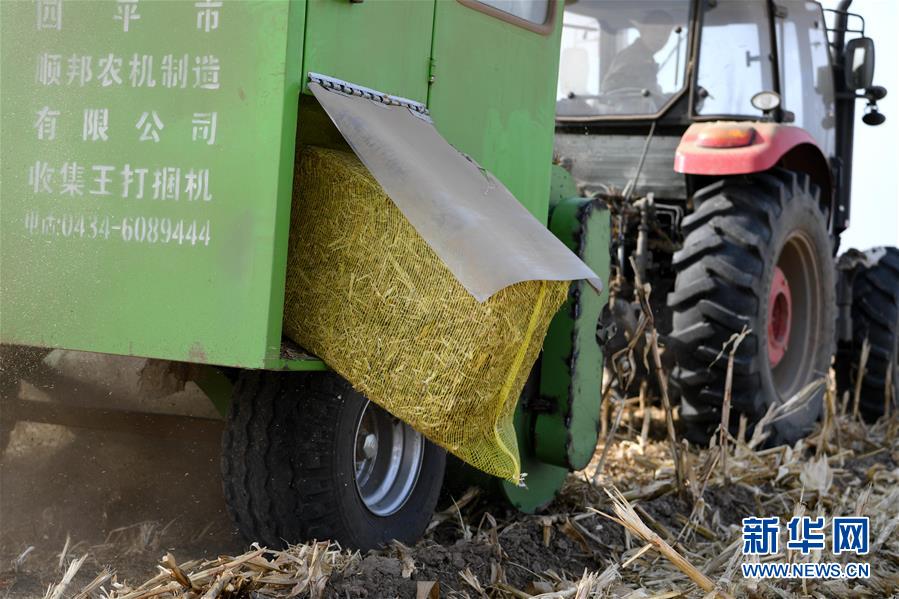 (在習(xí)近平新時代中國特色社會主義思想指引下——新時代新氣象新作為·鄉(xiāng)村振興戰(zhàn)略·圖文互動)(3)“與其放火,不如打包”——山西渾源秸稈綜合再利用見聞