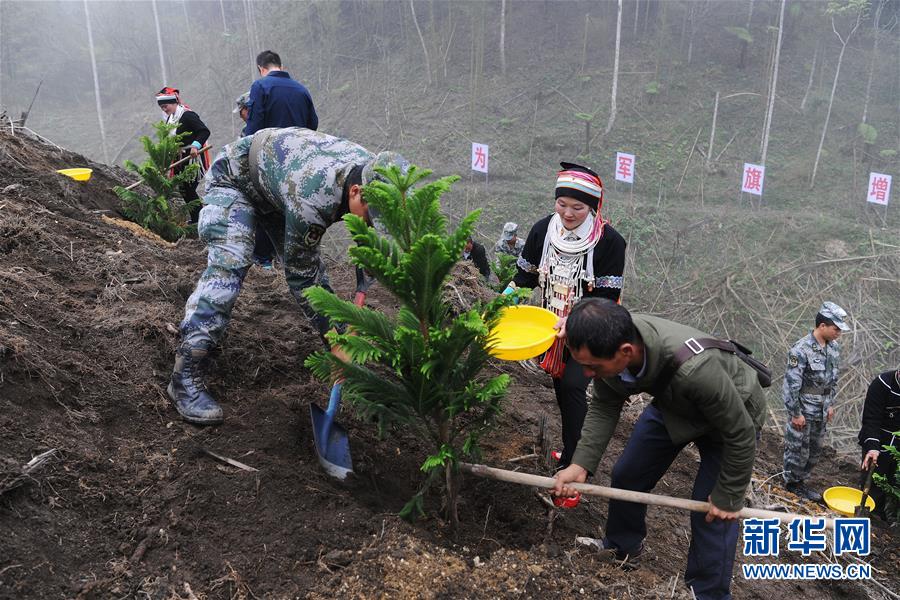 (圖文互動)(6)和平年代,離死神最近的人——南部戰區陸軍云南掃雷大隊邊境掃雷排爆記事