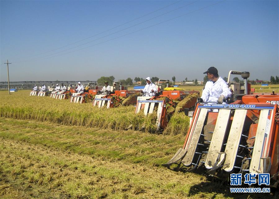 (慶祝改革開放40周年基層行·鄉鎮篇·圖文互動)(6)三產融合培育鄉村振興熱土——吉林孤店子鎮“村變城”背后的故事