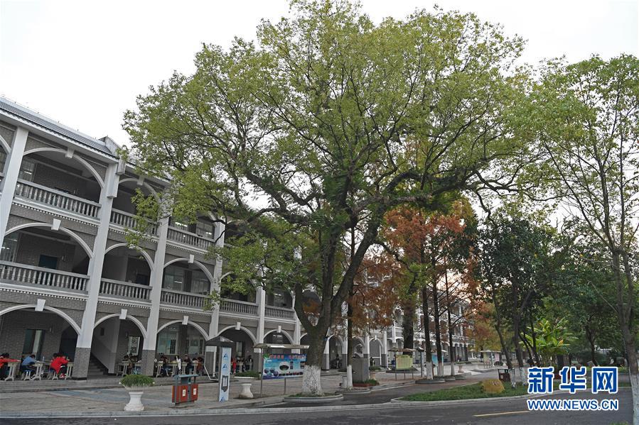 (慶祝改革開放40周年基層行·學校篇·圖文互動)(9)白鷺洲中學40年:書院教育的時代探索