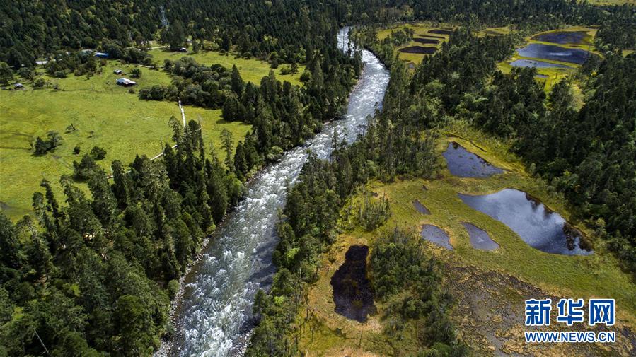 (百城百縣百企調研行·圖文互動)(1)西藏米林縣的綠色富裕路