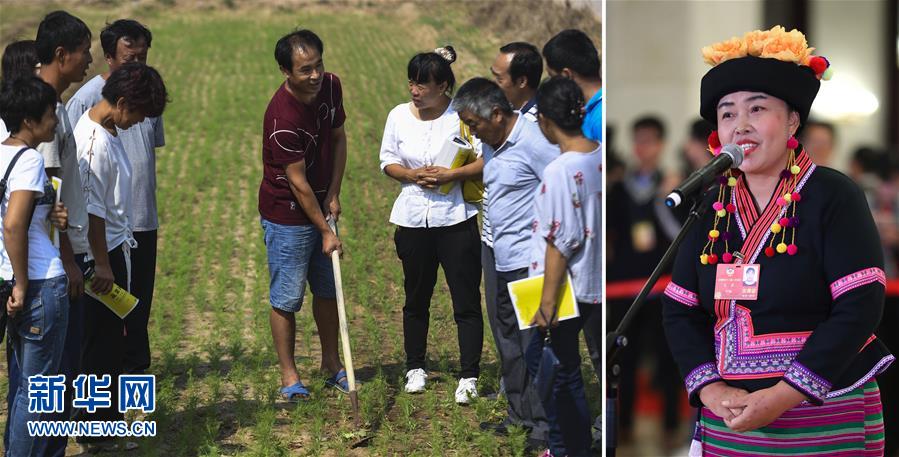 (兩會·影像鏈接)全國政協(xié)委員張敏:培養(yǎng)新型農(nóng)民 助力脫貧攻堅(jiān)