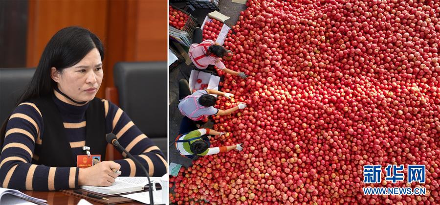 (兩會·影像鏈接)全國人大代表曾云英:新型農業將迎來高質量發展的機遇
