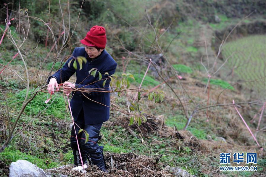 (圖文互動)(3)平靜而充滿力量——“中國網事·感動2018”年度網絡人物群像