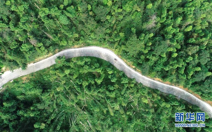 (中國網(wǎng)事·感動2019·圖文互動)(7)鄉(xiāng)村教師高自仁:60多根拐杖,撐起42年教學(xué)路