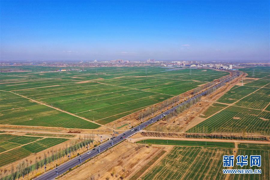 （新華全媒頭條·圖文互動）（2）奮進，向著未來之城！——河北雄安新區(qū)建設發(fā)展兩周年紀實