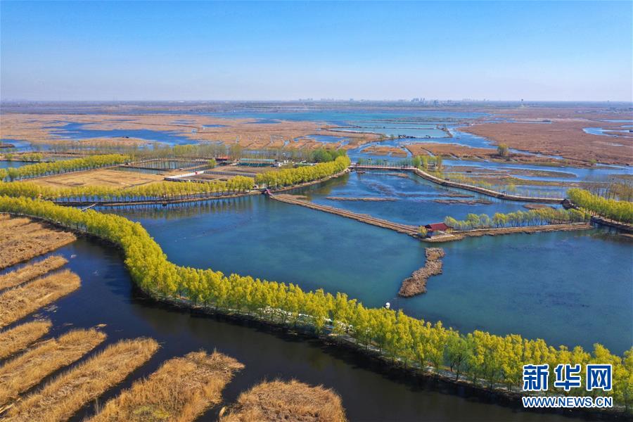 （新華全媒頭條·圖文互動）（5）奮進，向著未來之城！——河北雄安新區(qū)建設發(fā)展兩周年紀實