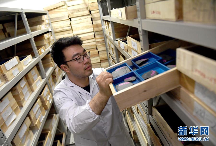 (新華全媒頭條·圖文互動(dòng))(4)探尋5億年前“生命大爆炸”之奧秘——中國(guó)科學(xué)家發(fā)現(xiàn)寒武紀(jì)“化石寶庫(kù)”清江生物群紀(jì)實(shí)