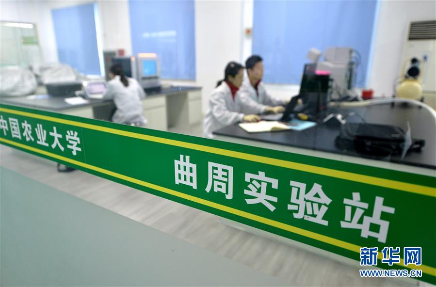 （愛國情 奮斗者·圖文互動）（3） “解民生之多艱，育天下之英才”——中國農(nóng)大師生扎根田野書寫奉獻之歌