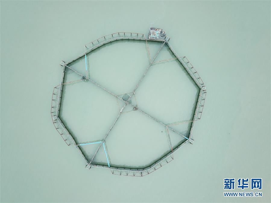 (壯麗70年·奮斗新時(shí)代·圖文互動(dòng))(5)“東海明珠”挺立一座“精神燈塔”——追尋浙江臺(tái)州大陳島墾荒精神