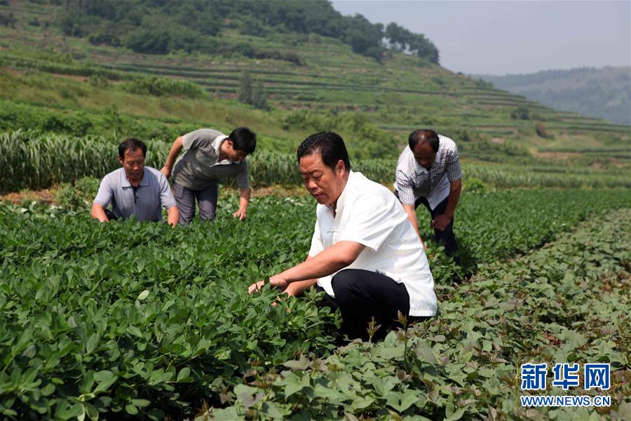 （新華全媒頭條·圖文互動）（1）讓奮斗成為人生最亮麗的底色——寫在2019年“五一”國際勞動節到來之際