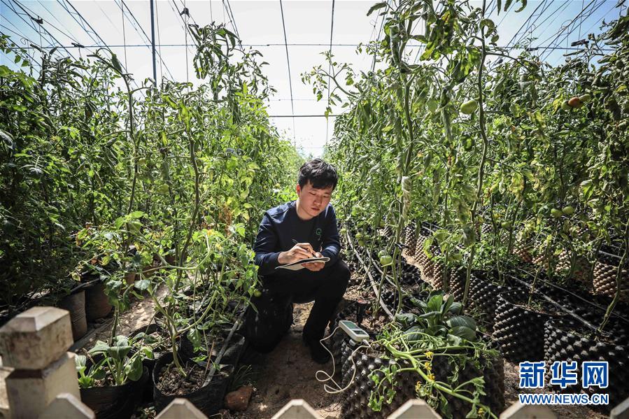 (新華全媒頭條·圖文互動)(5)青春萬歲 強國有我