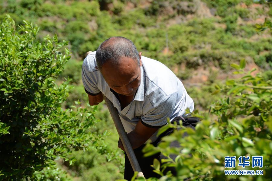 (壯麗70年·奮斗新時代·圖文互動)(1)福建長汀:換顏“山光水濁” 永駐綠水青山