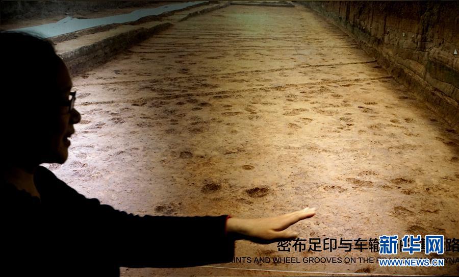 （新華全媒頭條·圖文互動）（6）“若問古今興廢事，請君只看洛陽城”——千年古都“烹制”博物館盛宴