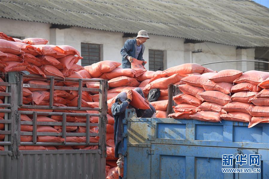 (在習(xí)近平新時(shí)代中國(guó)特色社會(huì)主義思想指引下——新時(shí)代新作為新篇章·圖文互動(dòng))(1)云南省陸良縣:農(nóng)民給供銷社打“白條”