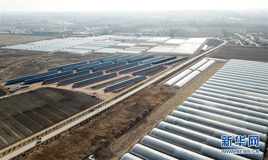 (在習近平新時代中國特色社會主義思想指引下——新時代新作為新篇章·圖文互動)(3)“無人作業(yè)”來臨 綠色食品“當家”——黑龍江探索現(xiàn)代農(nóng)業(yè)發(fā)展路徑