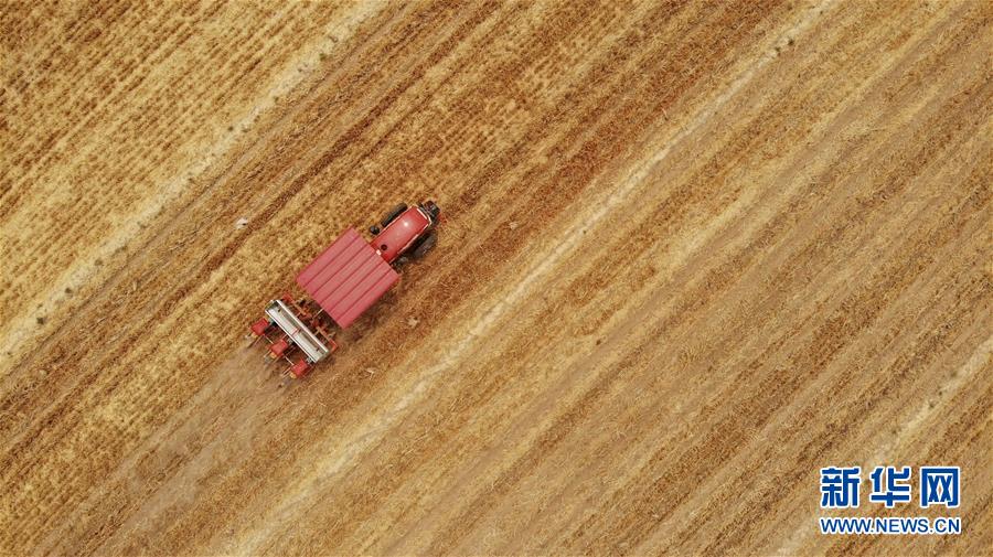 (新華全媒頭條·圖文互動)(7)一個傳統農業縣的脫貧之路——來自河北新河的調查報告