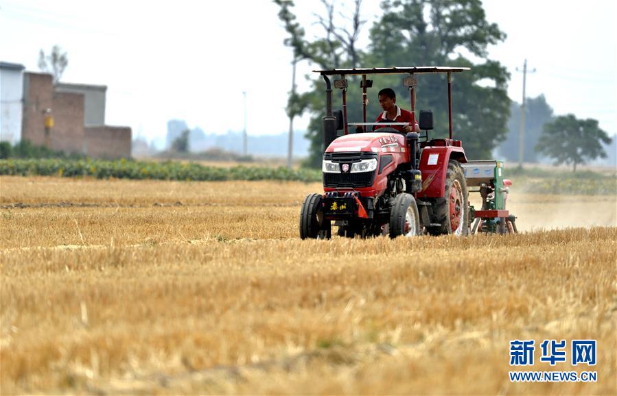 (新華全媒頭條·圖文互動)(8)一個傳統農業縣的脫貧之路——來自河北新河的調查報告