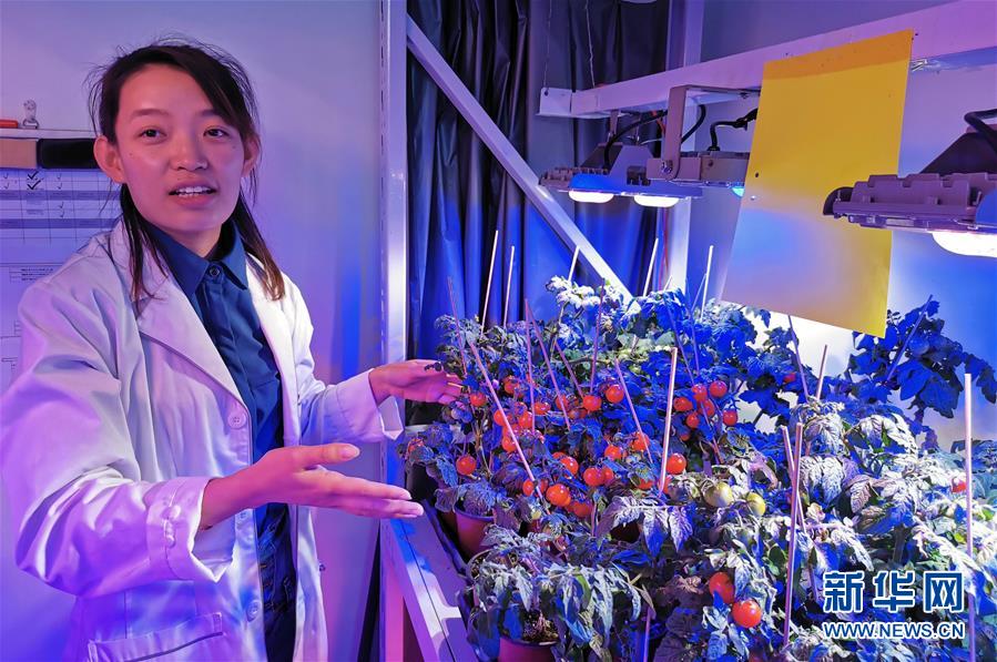 (愛國(guó)情 奮斗者·圖文互動(dòng))(4)池建義團(tuán)隊(duì):把論文寫在產(chǎn)品上