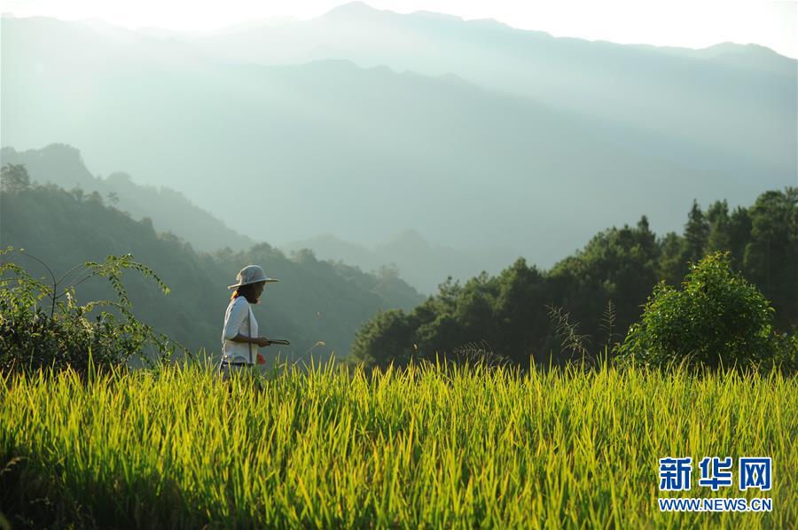 （新華全媒頭條·圖文互動）（9）咱們村里的年輕人——記奮戰在貴州脫貧攻堅一線的青年