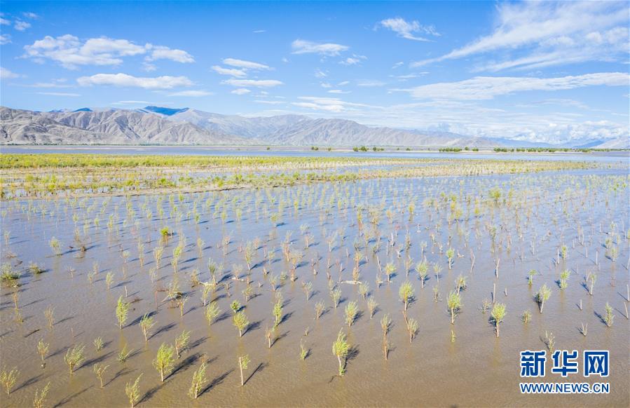 （壯麗70年·奮斗新時(shí)代——共和國(guó)發(fā)展成就巡禮·圖文互動(dòng)）（9）人間奇跡在高原——新中國(guó)成立70年西藏發(fā)展成就紀(jì)實(shí)