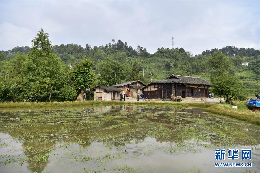 (來自一線的調查報告·圖文互動)(2)利益聯結強產業 打通城鄉促振興——重慶涪陵大順鄉鄉村振興觀察