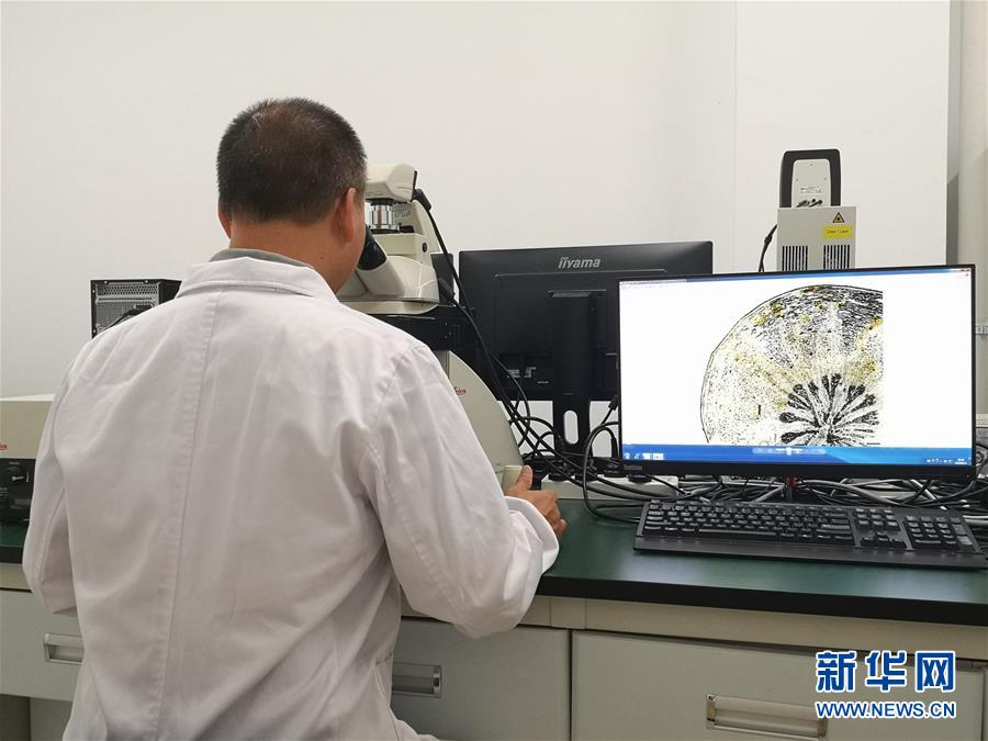 （新華調查·新中國考古重大發現·圖文互動）（5）海昏侯：不僅僅是“黃金大墓”