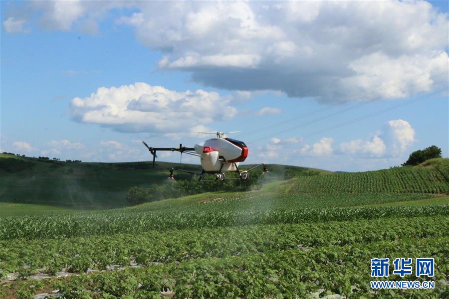 (新華全媒頭條·壯麗70年 奮斗新時代——推動高質量發展調研行·圖文互動)(10)潮平兩岸闊 奮楫正當時——來自遼寧的高質量發展實踐