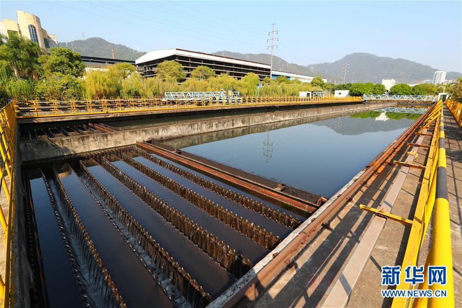 (新華全媒頭條·四中全會精神在基層·圖文互動)(2)“活優(yōu)富美”——八閩大地感受“中國之治”的生動樣本