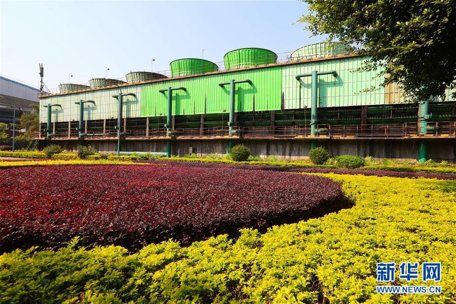 (新華全媒頭條·四中全會精神在基層·圖文互動)(4)“活優(yōu)富美”——八閩大地感受“中國之治”的生動樣本