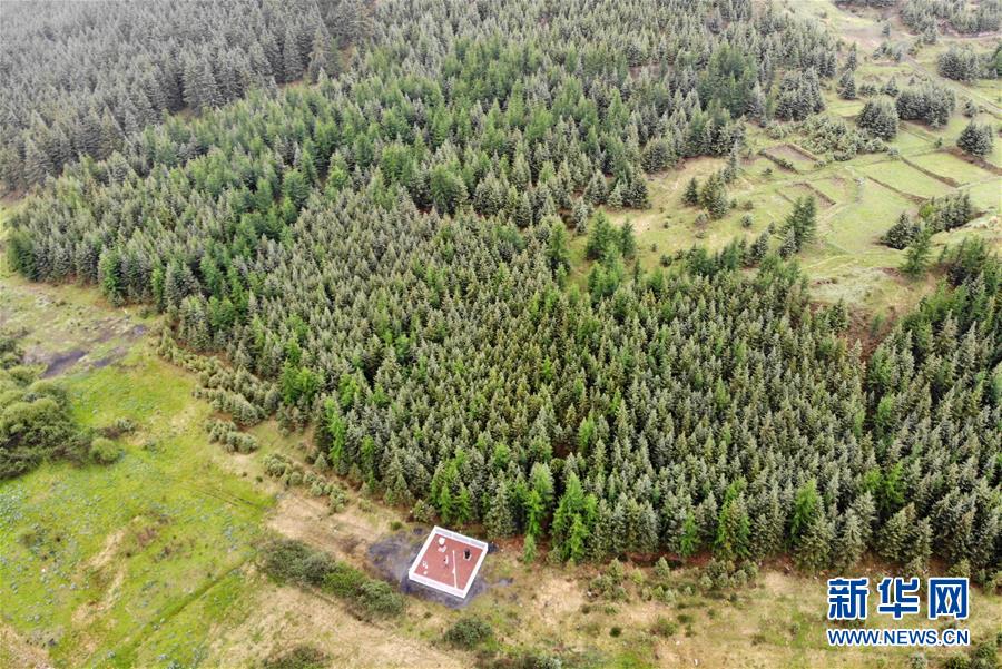（新華全媒頭條·圖文互動）（11）綠色的啟示——西部地區生態問題典型個案再調查
